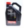 Синтетична олива двигуна SPECIFIC 505.01 / 502.00 5W-40 (5л) 842451 MOTUL (Франція)